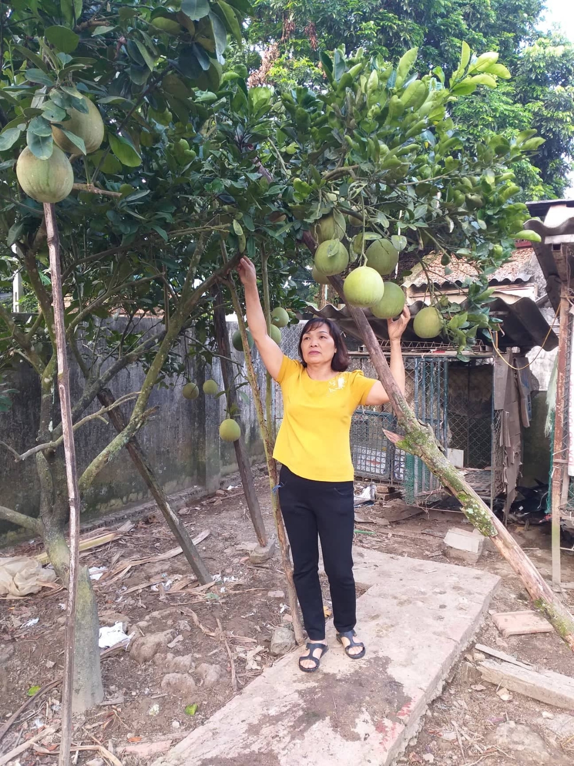 72086171 546758626069639 1762879140643471360 n