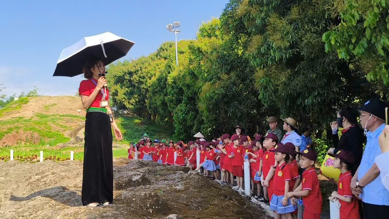 z6531619457865 499c701e10dbb763453cfdb623802d23